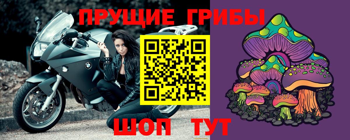 Галлюциногенные грибы Psilocybe Гай