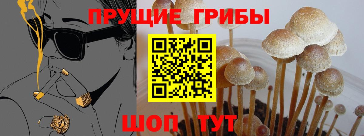 Cocaine  Вход с VPN  Мефедрон   МЕФ  МЕТАМФЕТАМИН  Гай  Конопля  ЭКСТАЗИ 